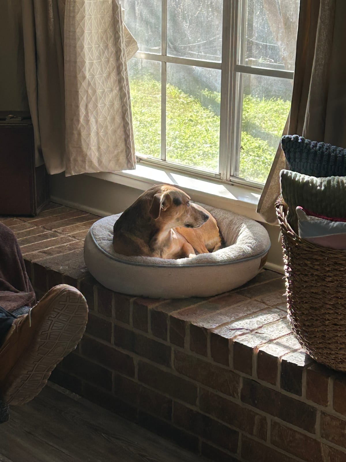 02/25/2025 - Fun in the Sun